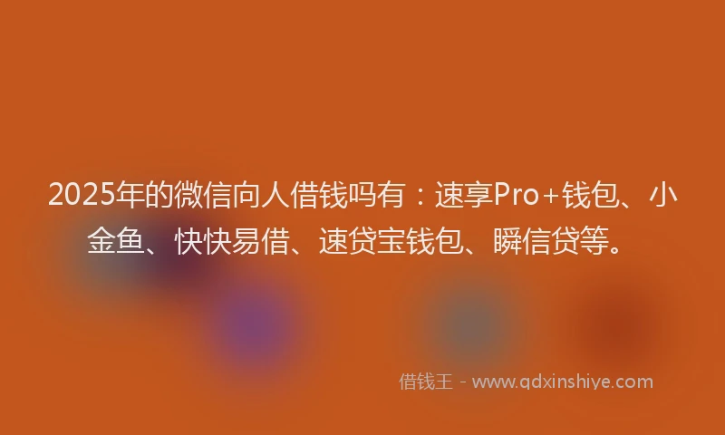 2025年的微信向人借钱吗有：速享Pro+钱包、小金鱼、快快易借、速贷宝钱包、瞬信贷等。