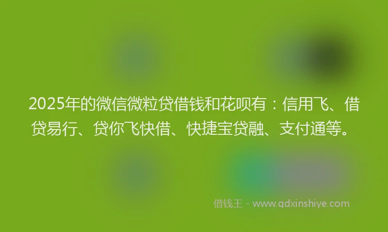 2025年的微信微粒贷借钱和花呗有：信用飞、借贷易行、贷你飞快借、快捷宝贷融、支付通等。
