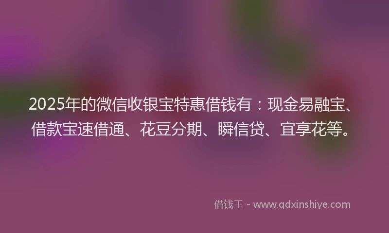 2025年的微信收银宝特惠借钱有：现金易融宝、借款宝速借通、花豆分期、瞬信贷、宜享花等。
