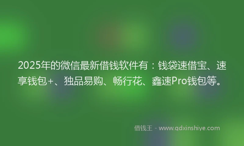 2025年的微信最新借钱软件有：钱袋速借宝、速享钱包+、独品易购、畅行花、鑫速Pro钱包等。