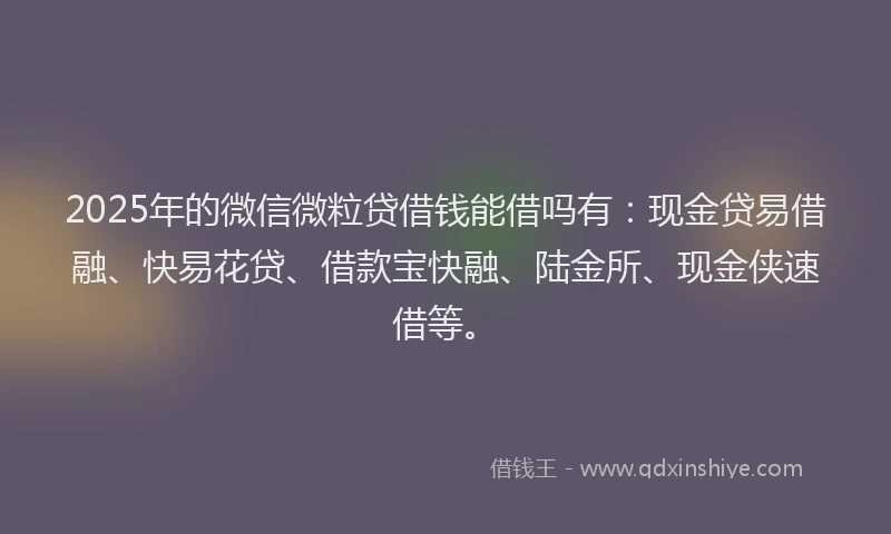 2025年的微信微粒贷借钱能借吗有：现金贷易借融、快易花贷、借款宝快融、陆金所、现金侠速借等。