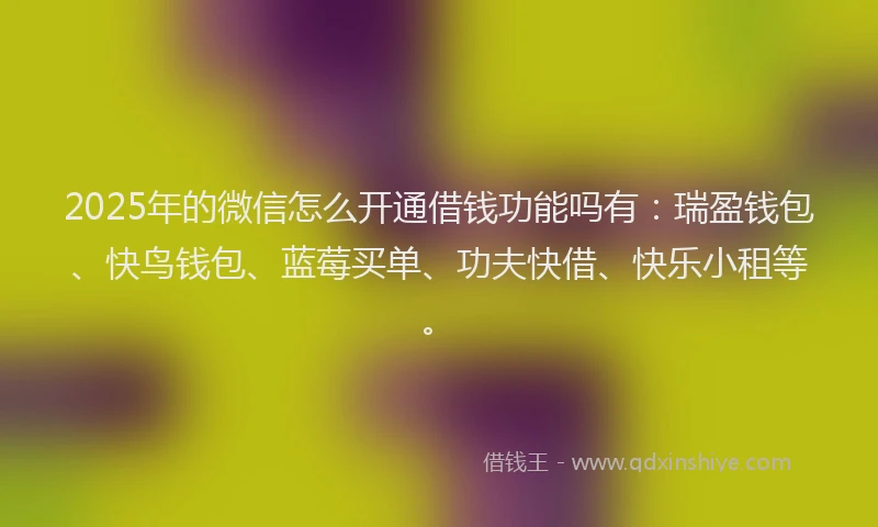 2025年的微信怎么开通借钱功能吗有：瑞盈钱包、快鸟钱包、蓝莓买单、功夫快借、快乐小租等。
