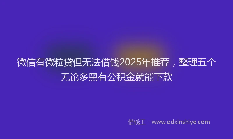 微信有微粒贷但无法借钱2025年推荐，整理五个无论多黑有公积金就能下款