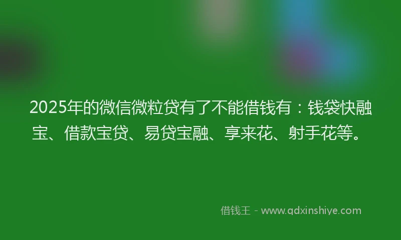 2025年的微信微粒贷有了不能借钱有：钱袋快融宝、借款宝贷、易贷宝融、享来花、射手花等。