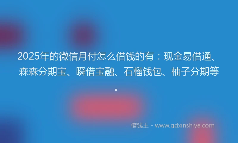 2025年的微信月付怎么借钱的有：现金易借通、森森分期宝、瞬借宝融、石榴钱包、柚子分期等。