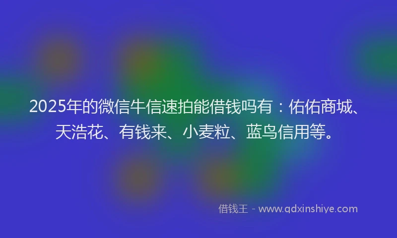 2025年的微信牛信速拍能借钱吗有：佑佑商城、天浩花、有钱来、小麦粒、蓝鸟信用等。