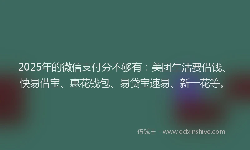 2025年的微信支付分不够有：美团生活费借钱、快易借宝、惠花钱包、易贷宝速易、新一花等。