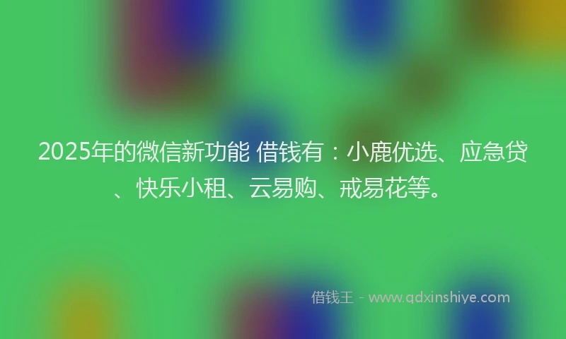 2025年的微信新功能 借钱有：小鹿优选、应急贷、快乐小租、云易购、戒易花等。