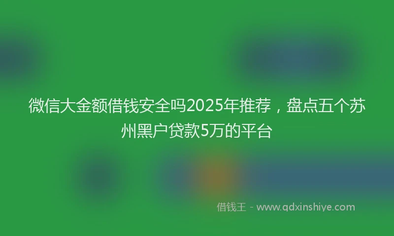 微信大金额借钱安全吗2025年推荐，盘点五个苏州黑户贷款5万的平台