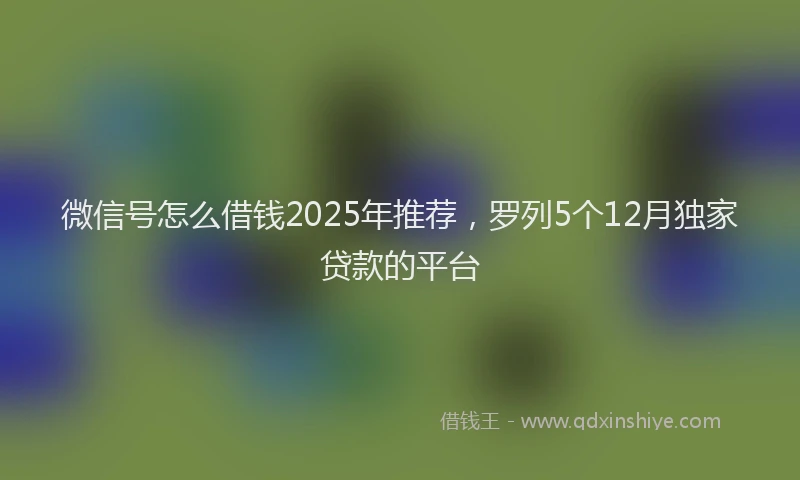 微信号怎么借钱2025年推荐，罗列5个12月独家贷款的平台