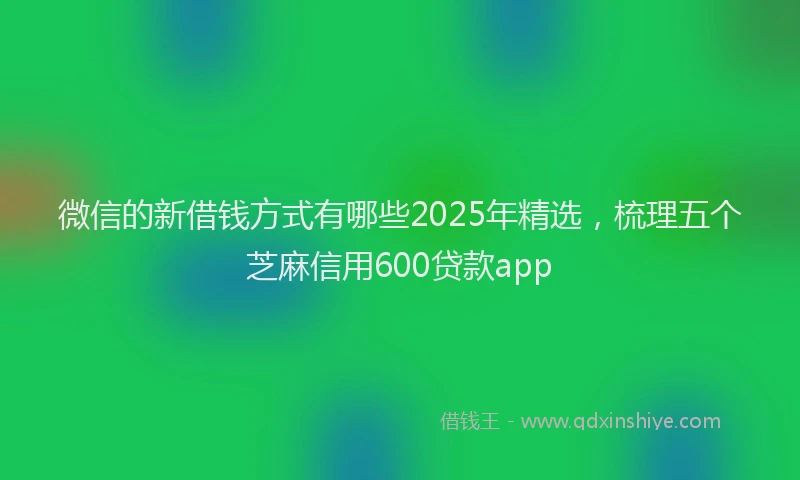 微信的新借钱方式有哪些2025年精选，梳理五个芝麻信用600贷款app