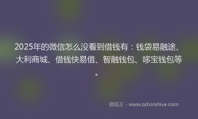 2025年的微信怎么没看到借钱有：钱袋易融途、大利商城、借钱快易借、智融钱包、哆宝钱包等。