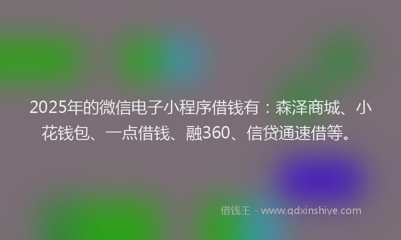 2025年的微信电子小程序借钱有：森泽商城、小花钱包、一点借钱、融360、信贷通速借等。