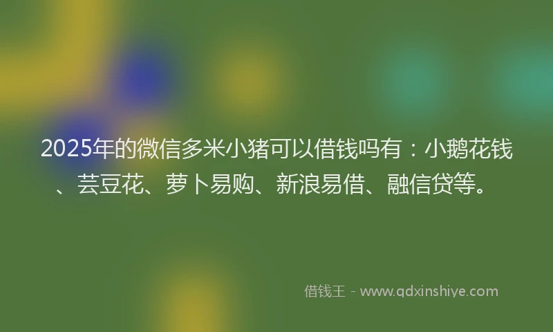 2025年的微信多米小猪可以借钱吗有：小鹅花钱、芸豆花、萝卜易购、新浪易借、融信贷等。