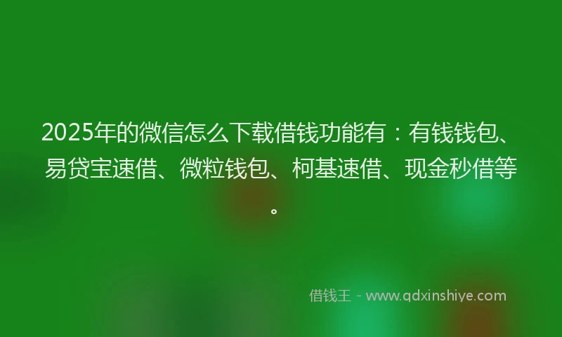 2025年的微信怎么下载借钱功能有：有钱钱包、易贷宝速借、微粒钱包、柯基速借、现金秒借等。