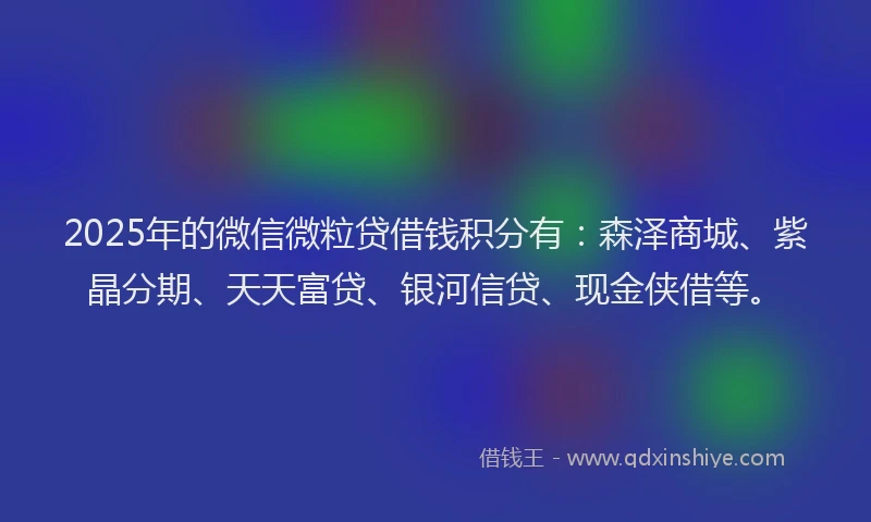 2025年的微信微粒贷借钱积分有：森泽商城、紫晶分期、天天富贷、银河信贷、现金侠借等。