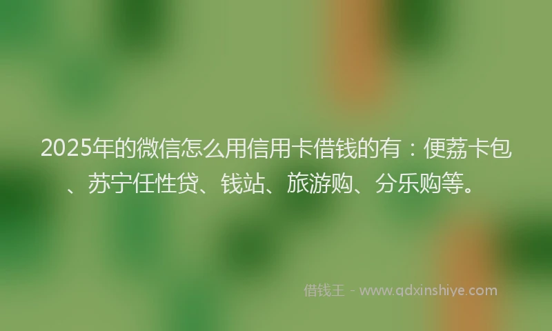 2025年的微信怎么用信用卡借钱的有：便荔卡包、苏宁任性贷、钱站、旅游购、分乐购等。