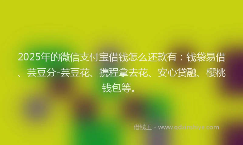 2025年的微信支付宝借钱怎么还款有：钱袋易借、芸豆分-芸豆花、携程拿去花、安心贷融、樱桃钱包等。