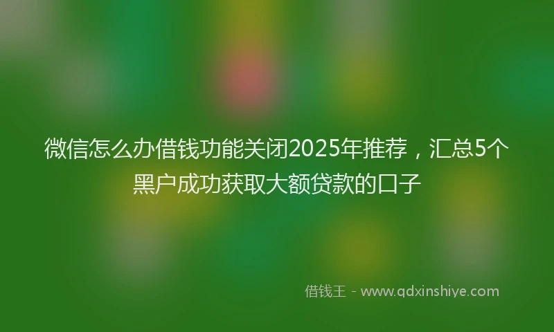 微信怎么办借钱功能关闭2025年推荐，汇总5个黑户成功获取大额贷款的口子