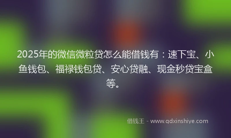 2025年的微信微粒贷怎么能借钱有：速下宝、小鱼钱包、福禄钱包贷、安心贷融、现金秒贷宝盒等。