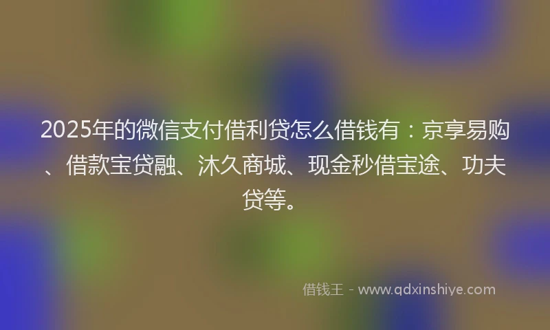 2025年的微信支付借利贷怎么借钱有：京享易购、借款宝贷融、沐久商城、现金秒借宝途、功夫贷等。