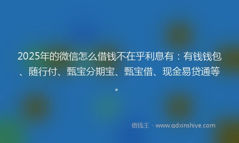 2025年的微信怎么借钱不在乎利息有：有钱钱包、随行付、甄宝分期宝、甄宝借、现金易贷通等。