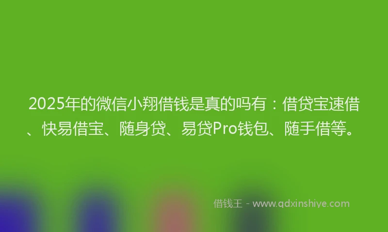 2025年的微信小翔借钱是真的吗有:借贷宝速借、快易借宝、随身贷、易贷Pro钱包、随手借等。