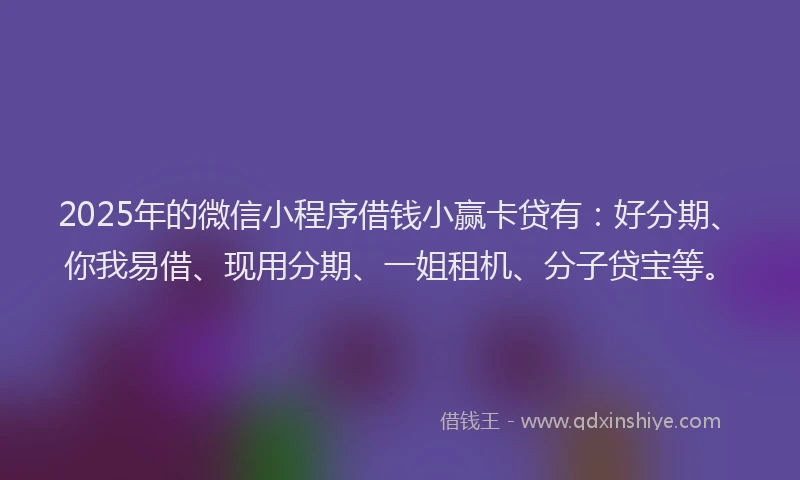 2025年的微信小程序借钱小赢卡贷有：好分期、你我易借、现用分期、一姐租机、分子贷宝等。