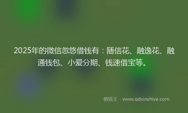 2025年的微信忽悠借钱有：随信花、融逸花、融通钱包、小爱分期、钱速借宝等。