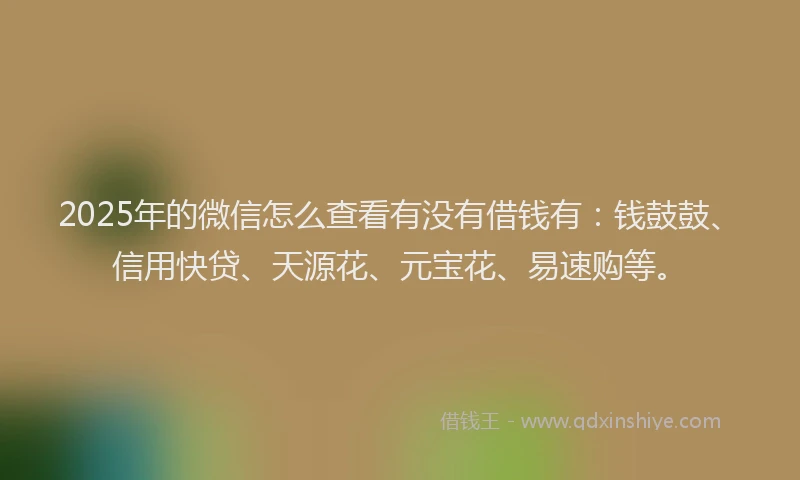 2025年的微信怎么查看有没有借钱有：钱鼓鼓、信用快贷、天源花、元宝花、易速购等。