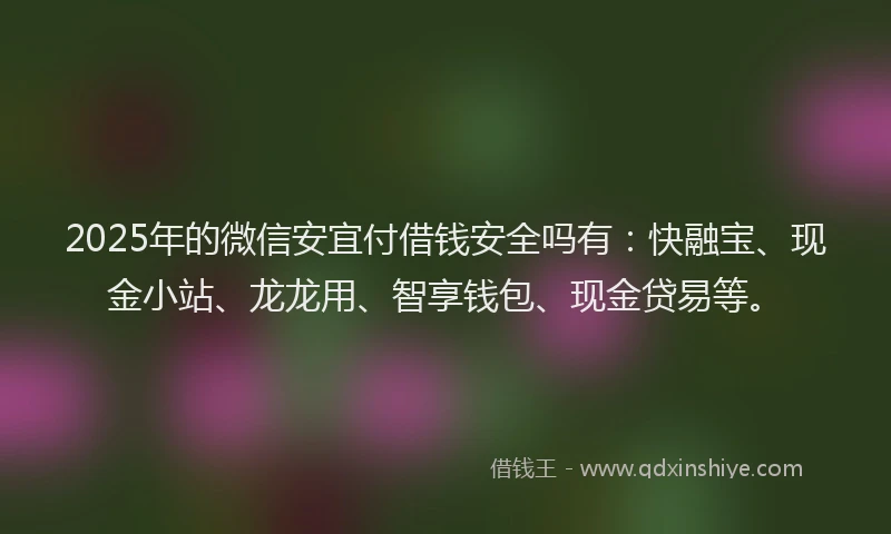 2025年的微信安宜付借钱安全吗有：快融宝、现金小站、龙龙用、智享钱包、现金贷易等。