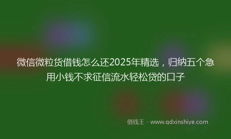 微信微粒货借钱怎么还2025年精选，归纳五个急用小钱不求征信流水轻松贷的口子