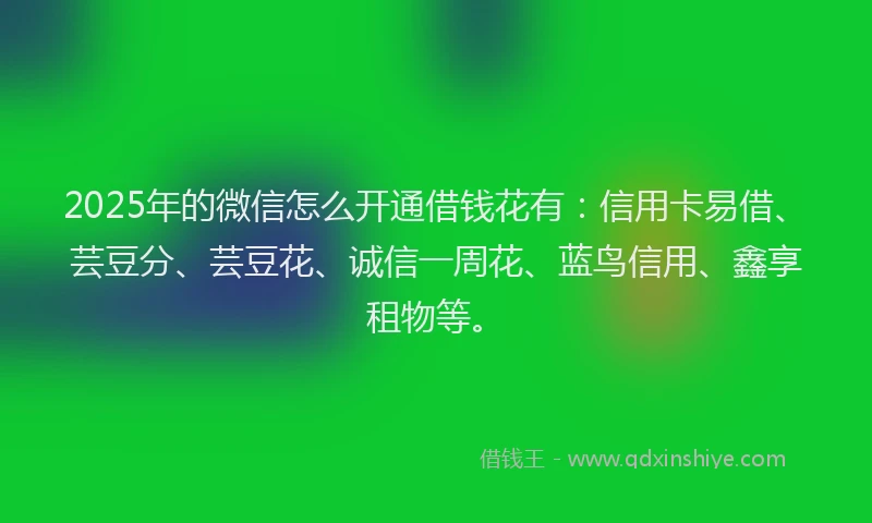 2025年的微信怎么开通借钱花有：信用卡易借、芸豆分、芸豆花、诚信一周花、蓝鸟信用、鑫享租物等。
