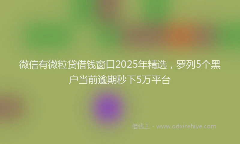 微信有微粒贷借钱窗口2025年精选，罗列5个黑户当前逾期秒下5万平台