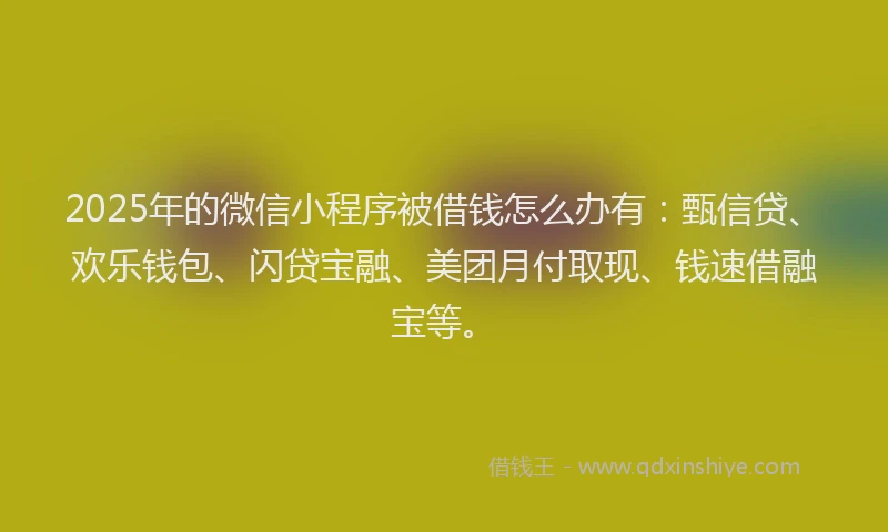 2025年的微信小程序被借钱怎么办有：甄信贷、欢乐钱包、闪贷宝融、美团月付取现、钱速借融宝等。