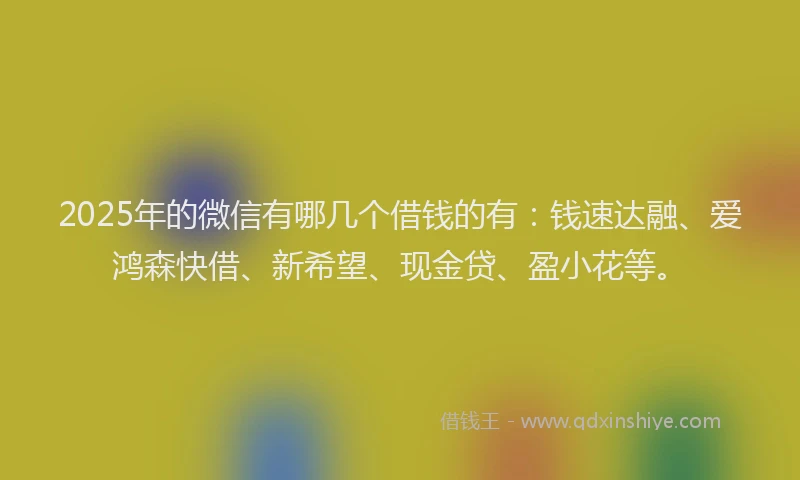 2025年的微信有哪几个借钱的有：钱速达融、爱鸿森快借、新希望、现金贷、盈小花等。