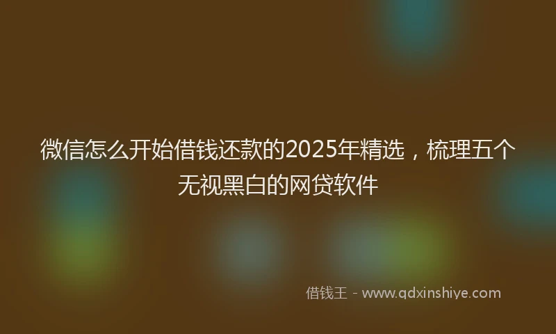 微信怎么开始借钱还款的2025年精选，梳理五个无视黑白的网贷软件