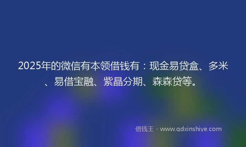 2025年的微信有本领借钱有：现金易贷盒、多米、易借宝融、紫晶分期、森森贷等。