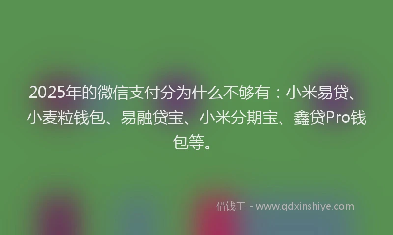 2025年的微信支付分为什么不够有：小米易贷、小麦粒钱包、易融贷宝、小米分期宝、鑫贷Pro钱包等。