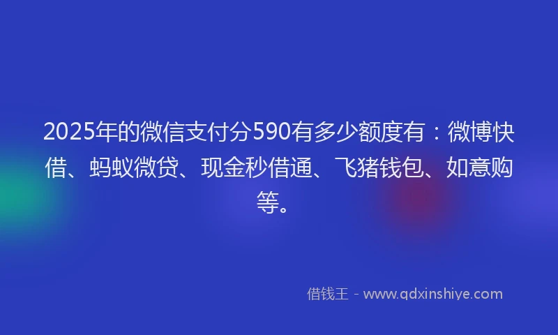 2025年的微信支付分590有多少额度有：微博快借、蚂蚁微贷、现金秒借通、飞猪钱包、如意购等。