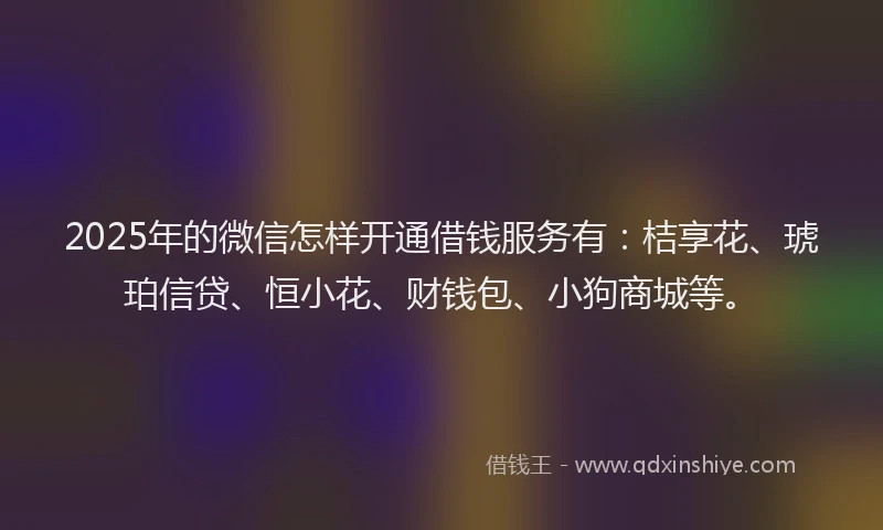 2025年的微信怎样开通借钱服务有：桔享花、琥珀信贷、恒小花、财钱包、小狗商城等。
