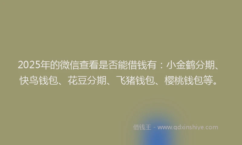 2025年的微信查看是否能借钱有：小金鹤分期、快鸟钱包、花豆分期、飞猪钱包、樱桃钱包等。