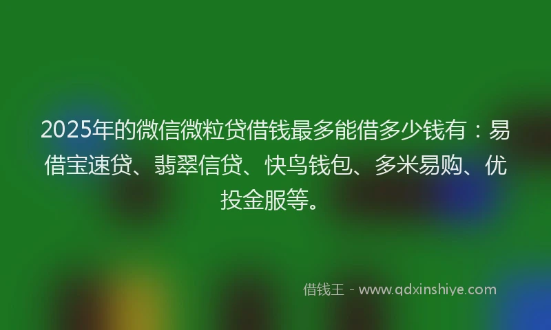 2025年的微信微粒贷借钱最多能借多少钱有：易借宝速贷、翡翠信贷、快鸟钱包、多米易购、优投金服等。