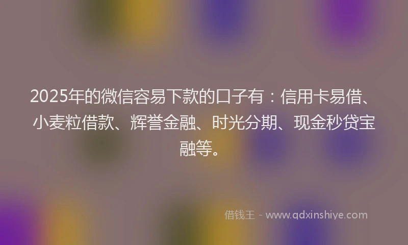 2025年的微信容易下款的口子有：信用卡易借、小麦粒借款、辉誉金融、时光分期、现金秒贷宝融等。