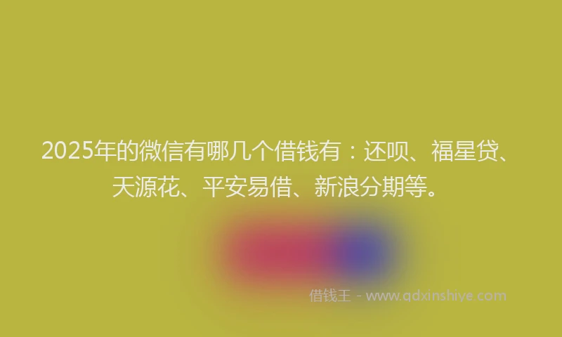 2025年的微信有哪几个借钱有：还呗、福星贷、天源花、平安易借、新浪分期等。