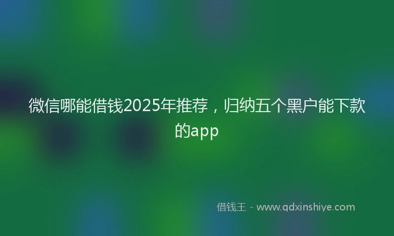 微信哪能借钱2025年推荐，归纳五个黑户能下款的app