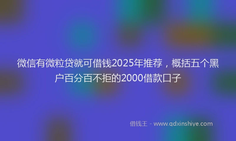 微信有微粒贷就可借钱2025年推荐，概括五个黑户百分百不拒的2000借款口子