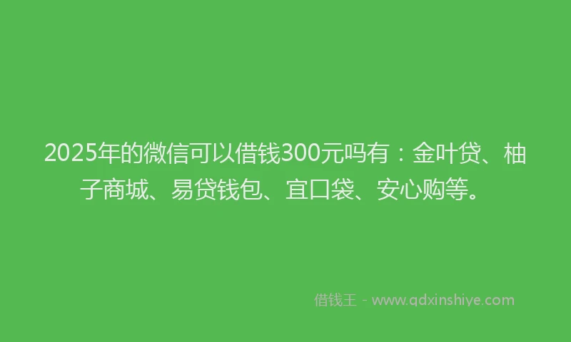 2025年的微信可以借钱300元吗有：金叶贷、柚子商城、易贷钱包、宜口袋、安心购等。
