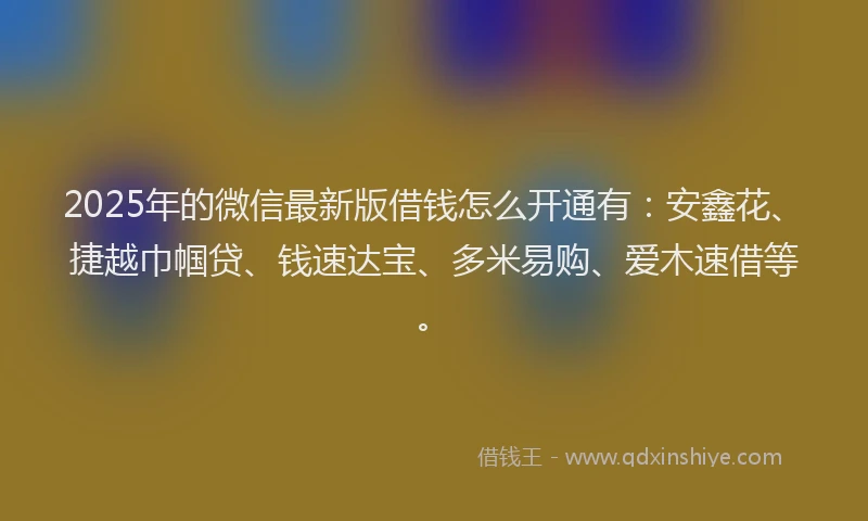 2025年的微信最新版借钱怎么开通有：安鑫花、捷越巾帼贷、钱速达宝、多米易购、爱木速借等。
