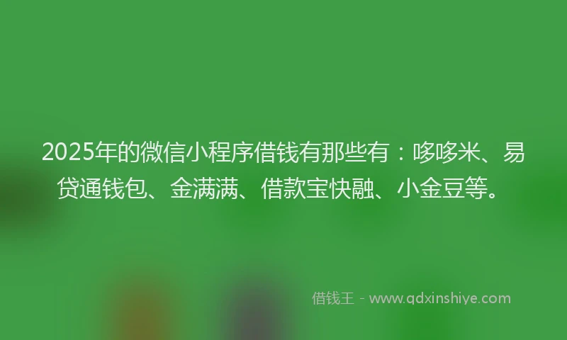2025年的微信小程序借钱有那些有：哆哆米、易贷通钱包、金满满、借款宝快融、小金豆等。